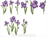 Iris embroidery pattern z.jpg