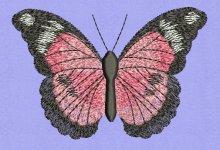 butterfly pattern 1.jpg