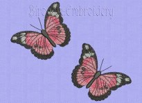 butterfly pattern z.jpg