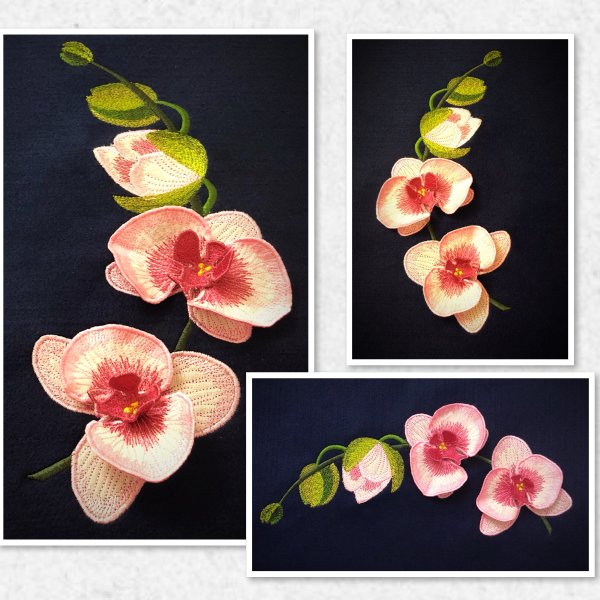3D Flower Orchid machine embroidery design applique pattern