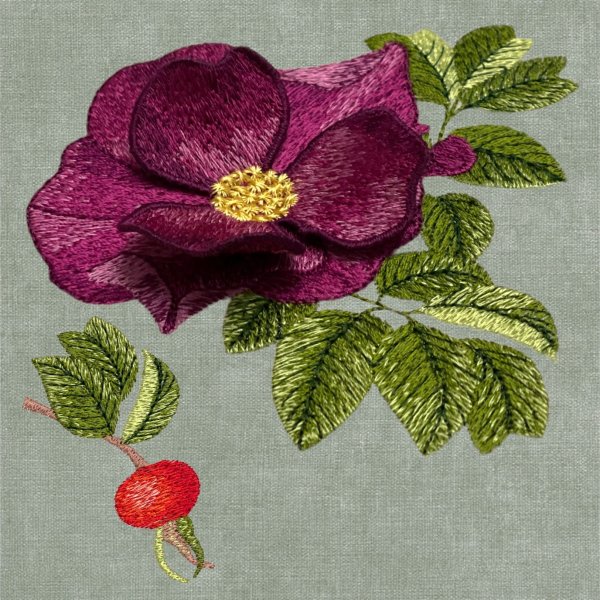 Rose hip with 3D element set of machine embroidery designs