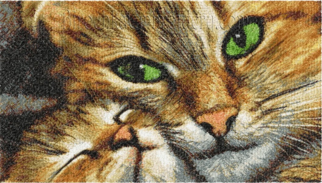 Machine Embroidery Design PhotoStitch Cats